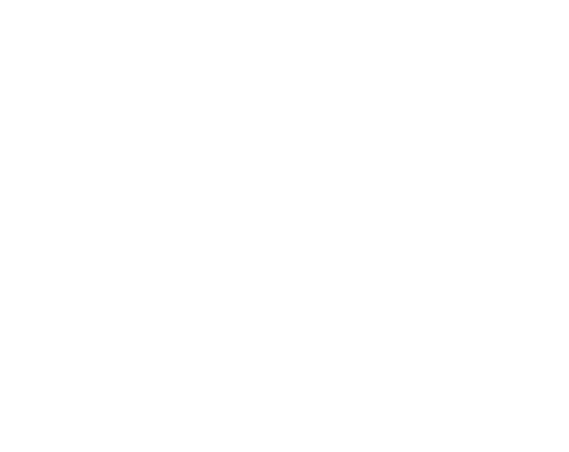 Magnet Living